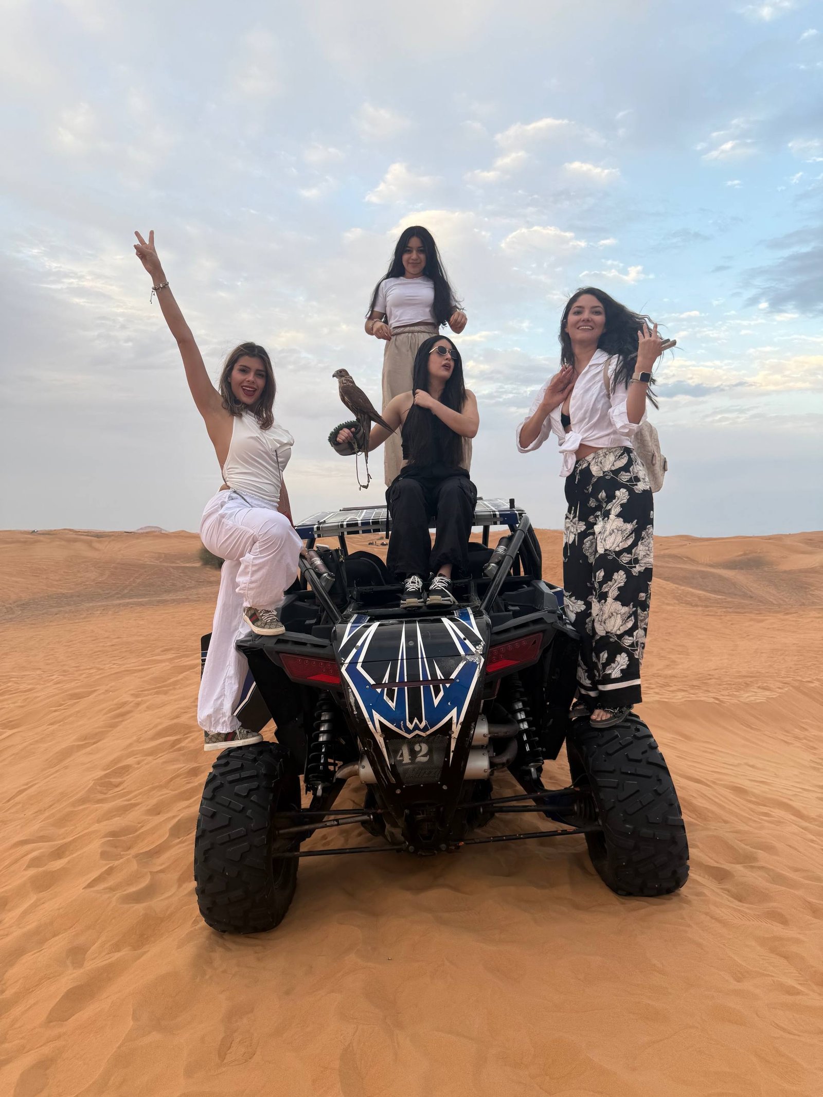 Desert safari photo 15