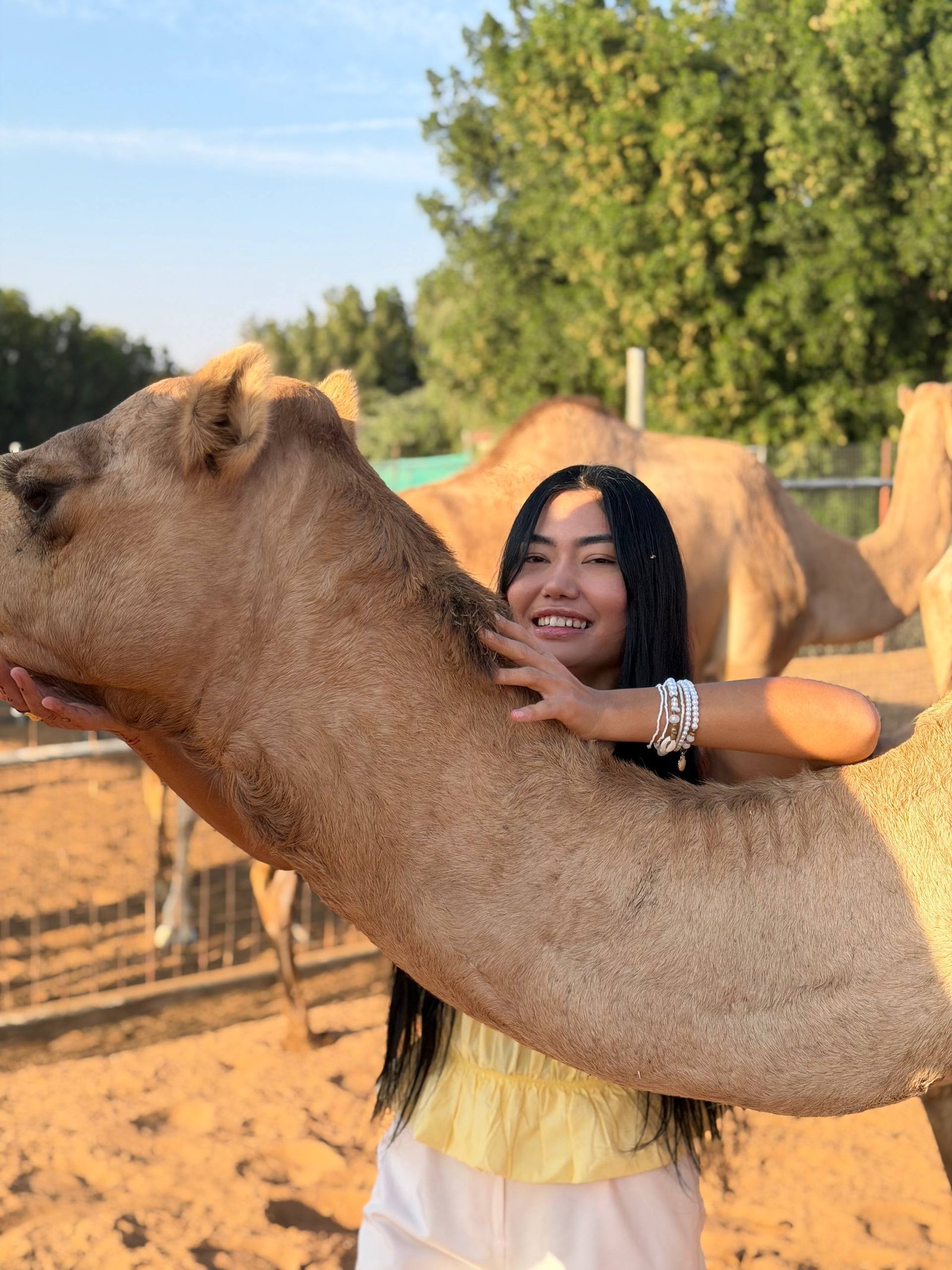 Desert safari photo 2