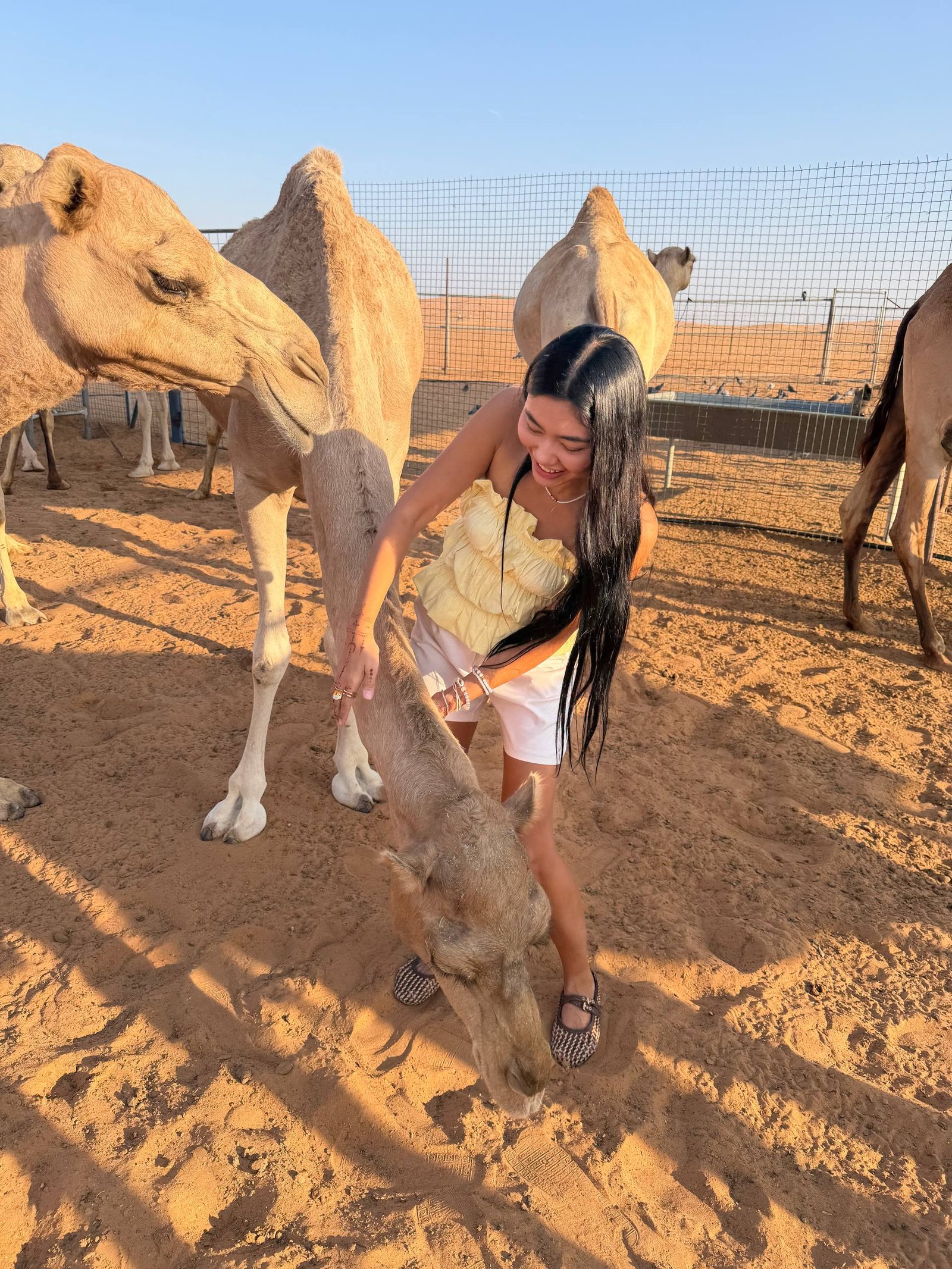 Desert safari photo 4