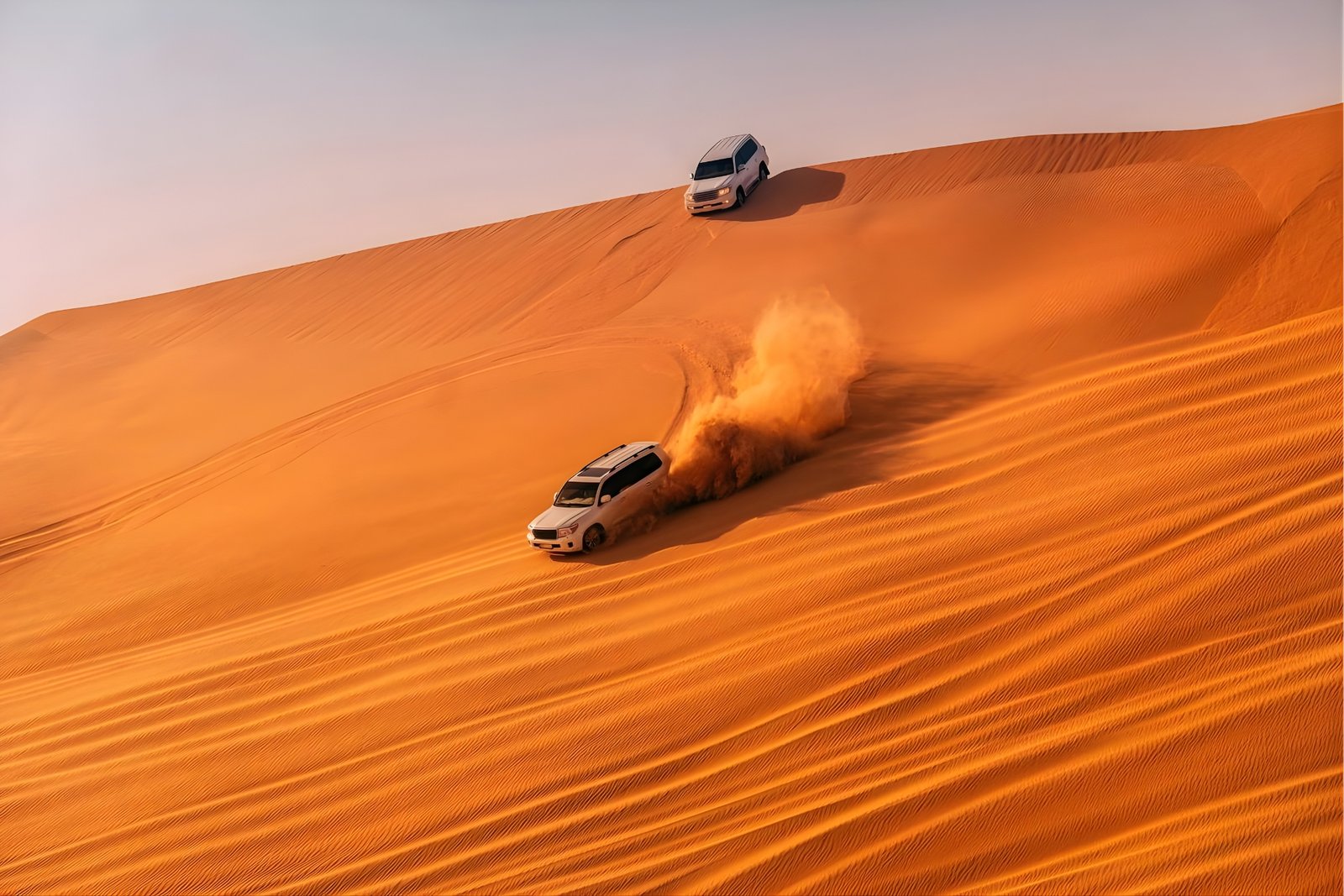 Morning desert safari in Dubai